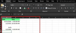 dataset for count function in excel 3