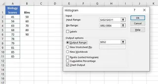 Dialog box for creating a histogram using the Data Analysis ToolPak 2