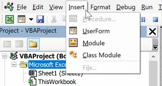 Inserting a module in the VBA Editor 2