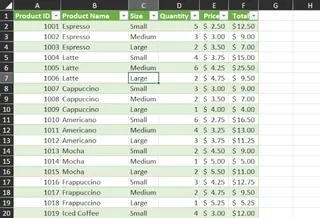 Cleaned Excel table ready for analysis 2