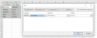 A dialog box showing the Sort options in Excel, with 