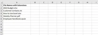 A column in Excel showing filenames with extensions