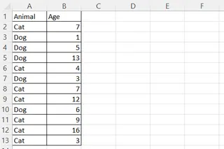 An example Excel table containing the ages of cats and dogs from a hypothetical pet adoption center. Image by Author. 2