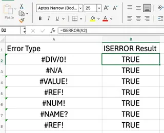 Different types of errors identified by Excel iSERROR 1