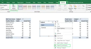 Connect a slicer to multiple PivotTables in Excel 11