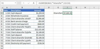 A SUMIF formula using wildcards to sum all transactions containing the word 