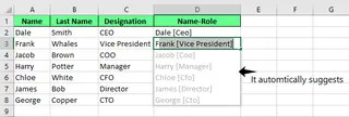 Flash Fill automatically suggest in Excel. 2