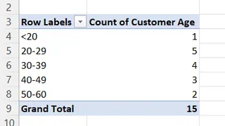 피벗 테이블을 사용한 빈도 분포 11