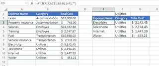 Using the FILTER function in Excel