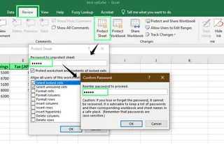 Protect the sheet with a password in excel 2