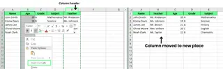 Move columns using Insert Cut Cells option in Excel. 3