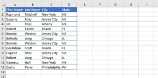 Sample data with duplicate rows in Excel