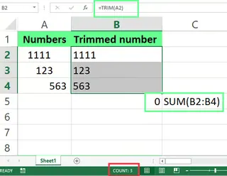 TRIM\(\) function fails to remove spaces correctly in Excel. 10