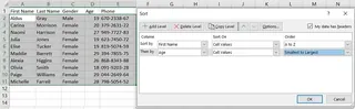 The Excel multi-level sort dialog box showing two levels of sorting criteria.