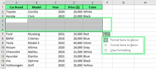 透過 Excel 插入選項新增資料列示意圖 2