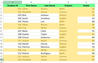 Data with highlighted duplicates 3
