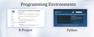 Programming Environments
