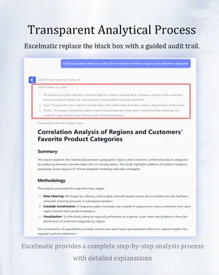 Transparent Analytical Process
