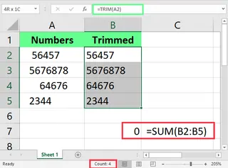 Using TRIM on numeric values in Excel. 3