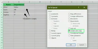 Find the hidden rows using the Go To Special tool in Excel. 10
