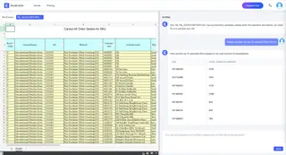 First chat with excel file