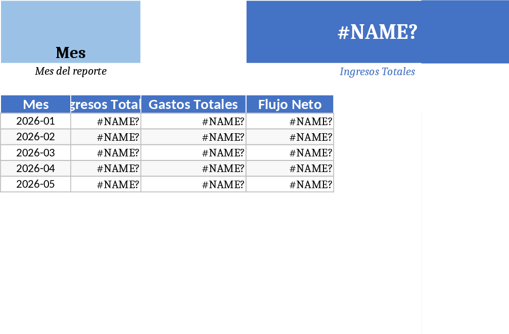Professional Entrepreneur Cash Flow and Financial Dashboard Template