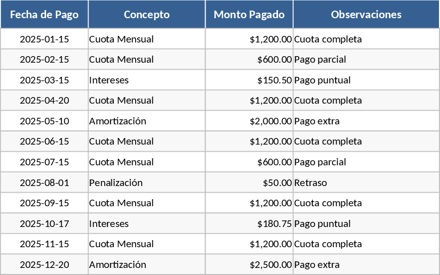 Client Payment History and Debt Tracker Template