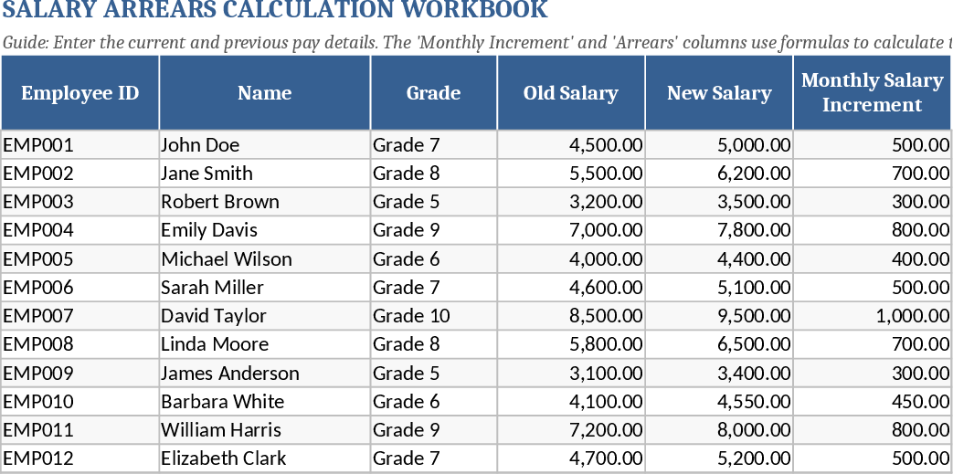Dynamic Multi-Year Salary & Allowance Budget Template
