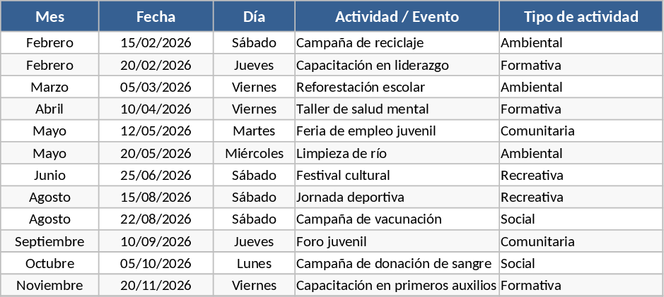Jugendparlament Freiwilligenprogramm Vorlage