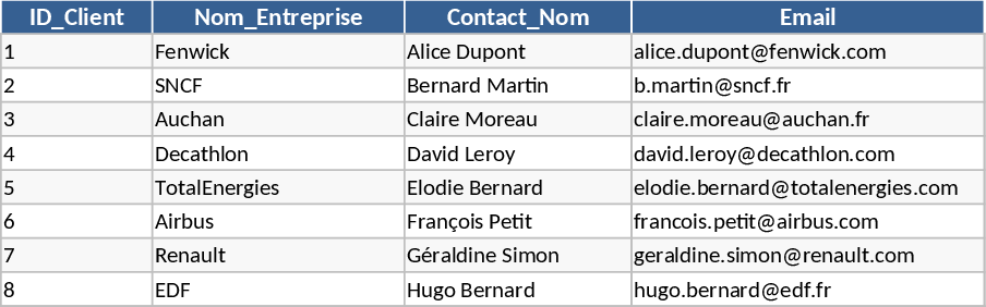 BATTECH Nexus Business Management Vorlage