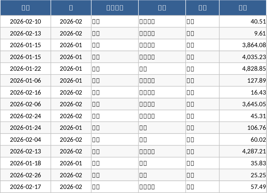 Budget-Tracker Vorlage