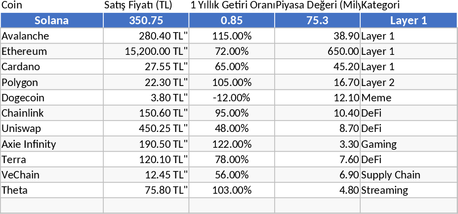Altcoin Portfolio Vorlage