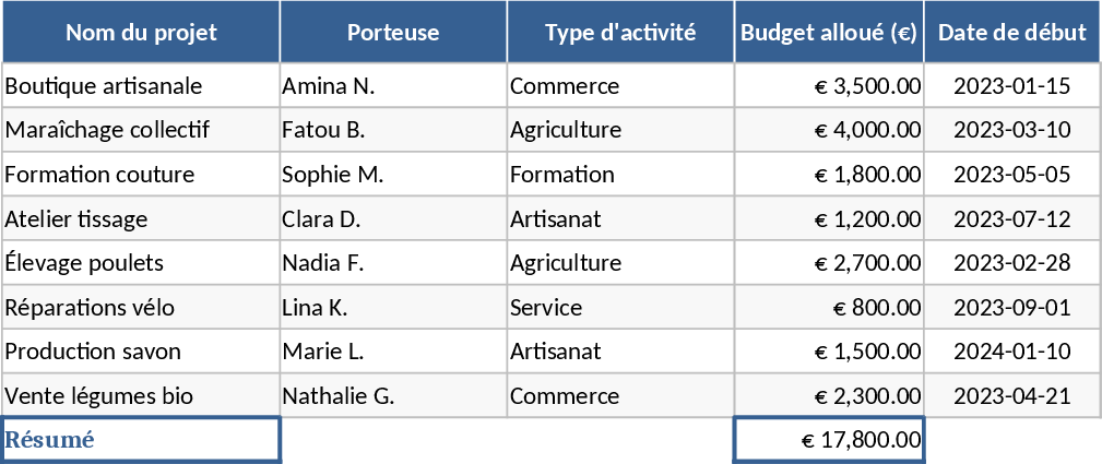 Gestion projets femmes Mikombe Modèle