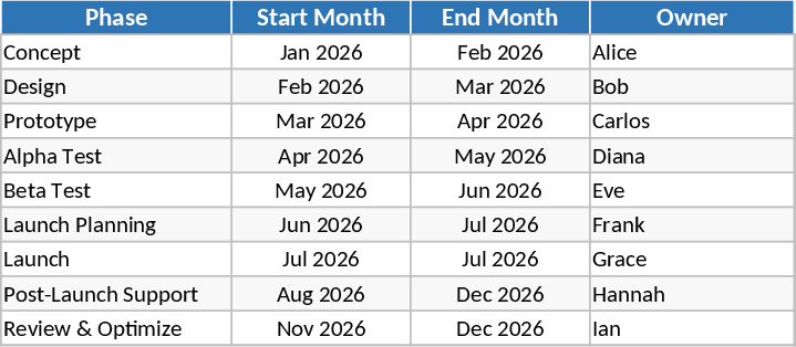 Plan 12 mois développement produit Modèle
