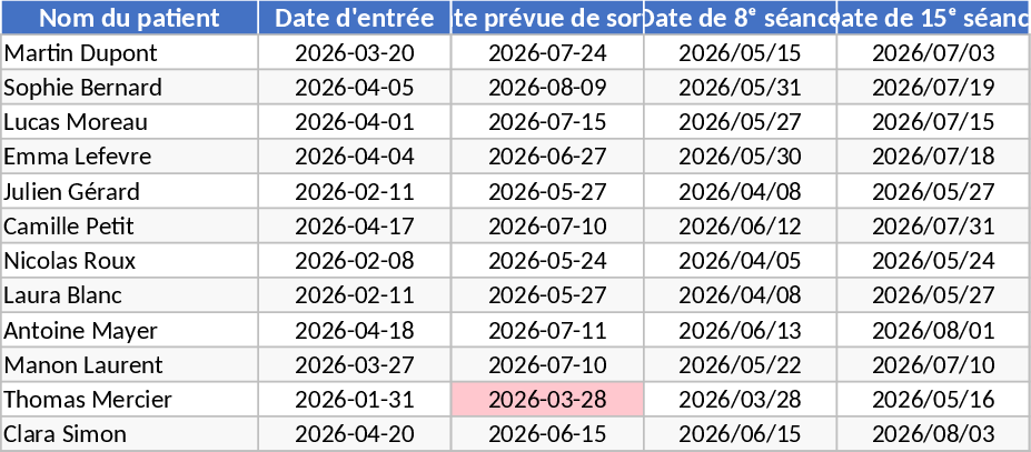 Patientenmanagement & Terminplaner Vorlage