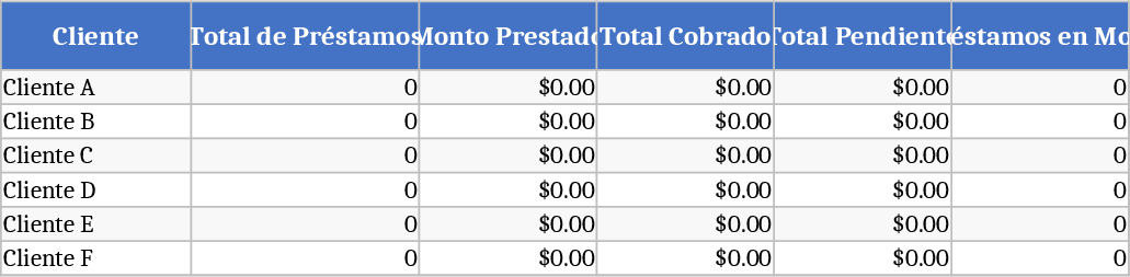 Intuitive Dynamic Loan Collection Template