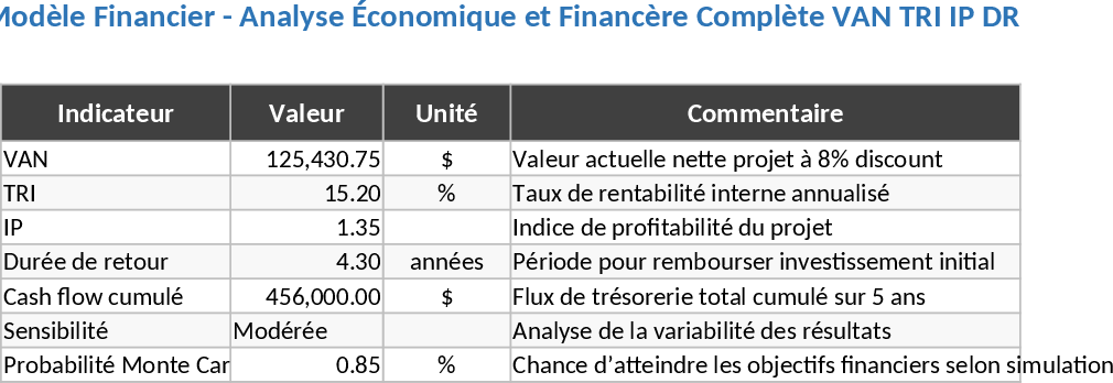 Comprehensive Financial Model with Investment Valuation and Risk Analysis Template