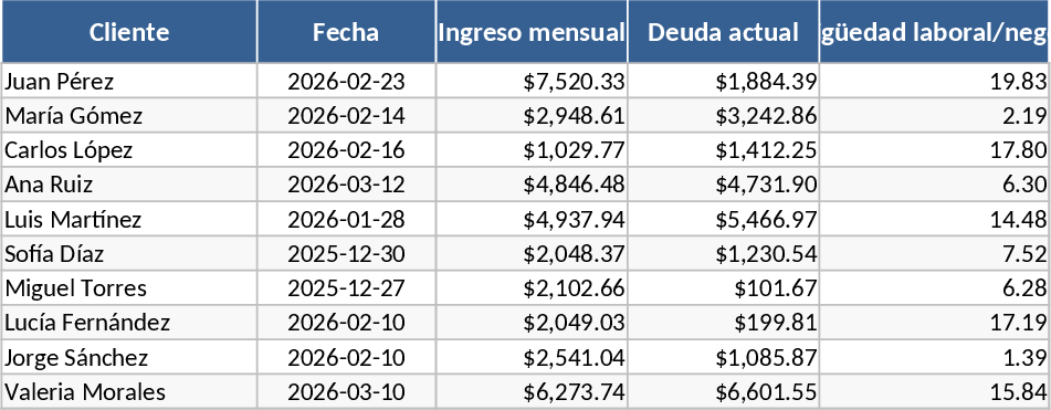 전문 신용 위험 점수·대출 적격성 템플릿