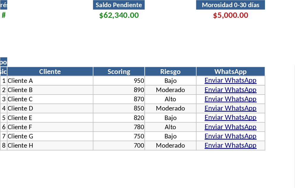전문 신용평가 및 대출 분석 템플릿