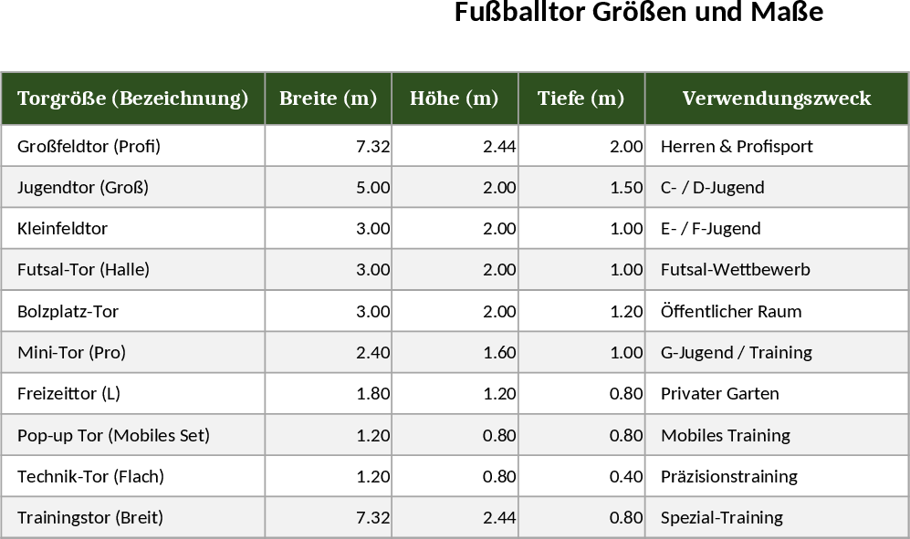 Soccer Goal Size & Dimension Tracker Template