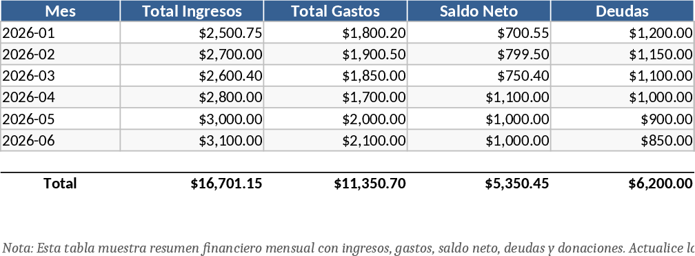Professional Personal Finance and Budget Management Template