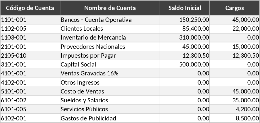 Dynamic Income Statement from Trial Balance Template