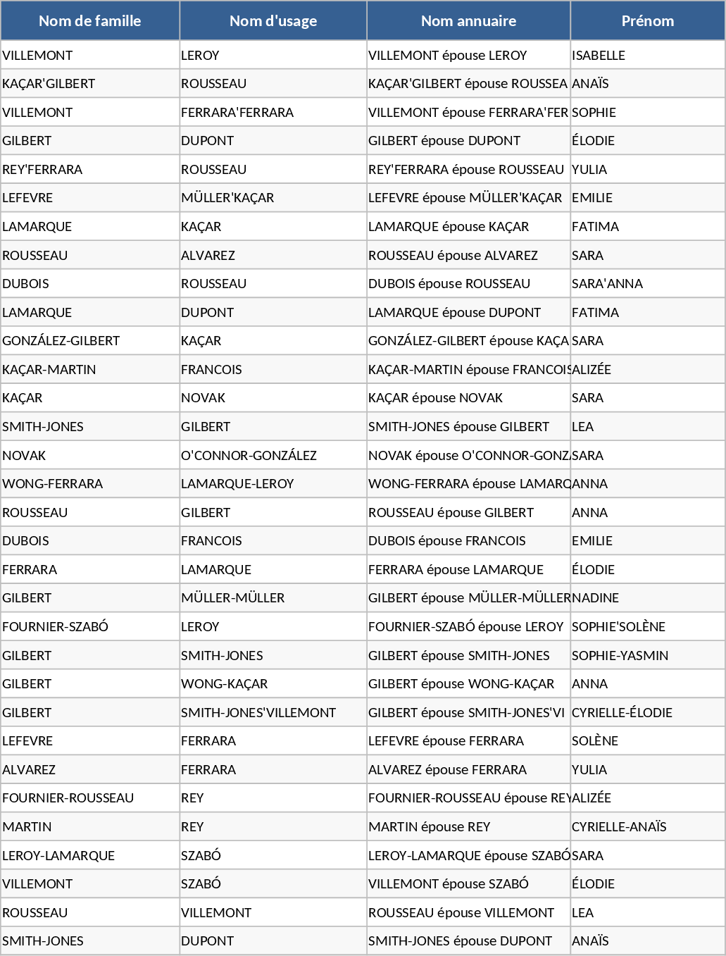 Synthetic Public Service Identity Dataset Template
