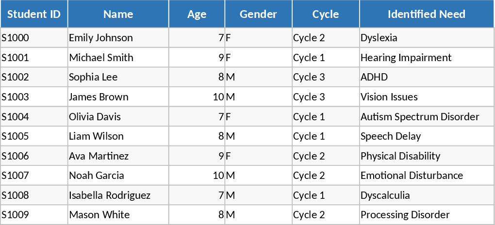 Student Special Needs Tracker Template