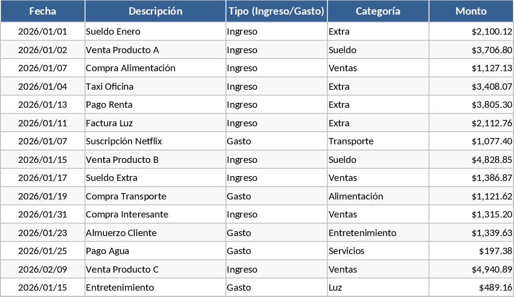 Income Expense and Accounts Payable Financial Tracker Template